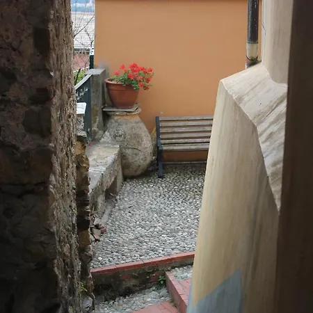 La Gatta Cleo Сasa de vacaciones *