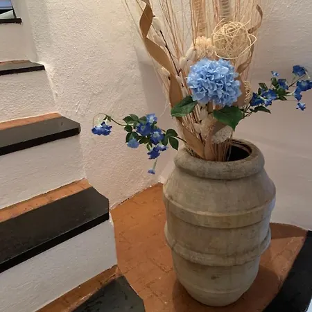 La Gatta Cleo Holiday home